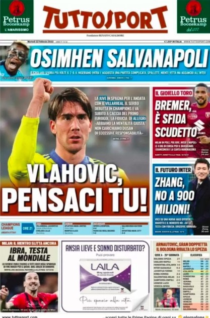 的主场草坪 的主场草坪